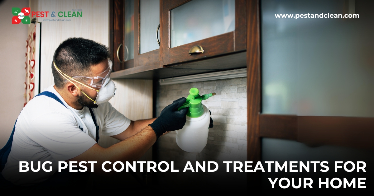 Bug Pest Control and Treatments for Your Home