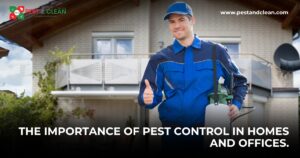 The-Importance-of-Pest-Control-in-Homes-and-Offices.