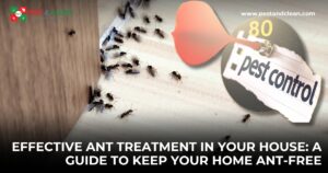 Effective-Ant-Treatment-in-Your-House-A-Guide-to-Keep-Your-Home-AntFree