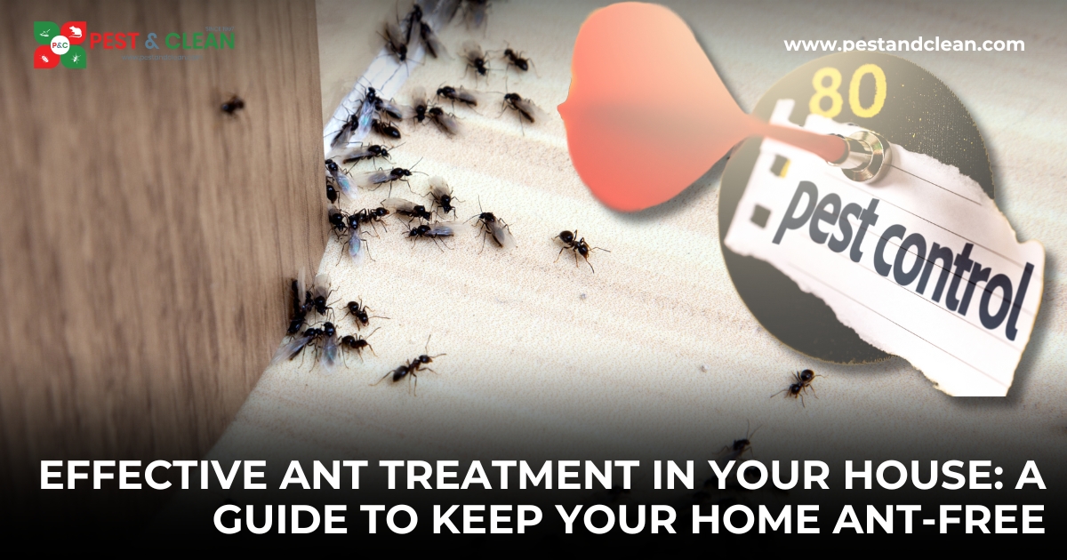 Effective Ant Treatment in Your House: A Guide to Keep Your Home Ant-Free