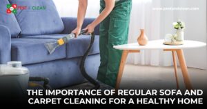 Looking for professional pest control in Oman? We specialize in bed bug treatment, sofa cleaning, carpet cleaning, and comprehensive building cleaning services. Choose us for reliable cleaning services in Oman.The-Importance-of-Regular-Sofa-and-Carpet-Cleaning-for-a-Healthy-Home