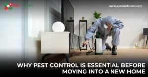 Why Pest Control Is Essential Before Moving Into a New Home